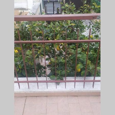 Appto Limone Lejlighed Lido di Ostia Eksteriør billede