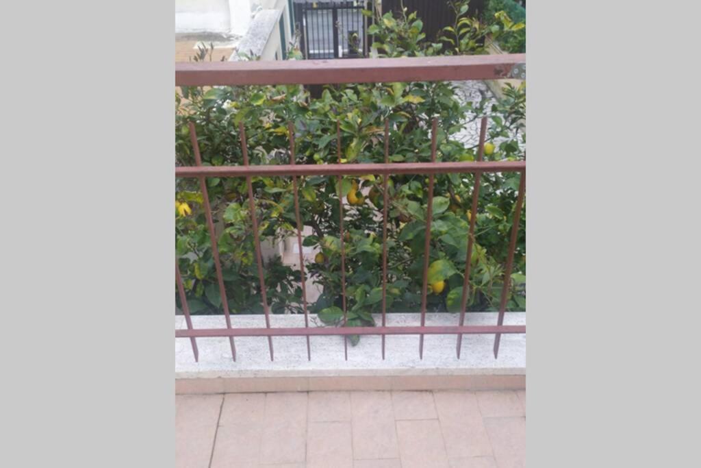 Appto Limone Lejlighed Lido di Ostia Eksteriør billede